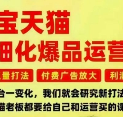 淘宝天猫精细化爆品运营课，免费流量打法-付费广告放大-利润增长-三大核心痛点，一次全部解决