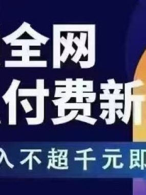王校长拼多多无限活动流，带领全网走强付费新时代，玩法投入不超千元即可起店