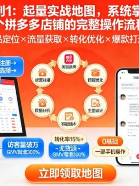 拼多多从0到1：起量实战地图，系统掌握从零启动一个拼多多店铺的完整操作流程