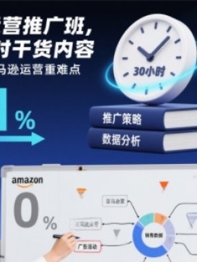 亚马逊运营推广班，超30小时干货内容，从0到1拆解亚马逊运营重难点