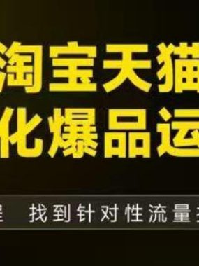 淘宝天猫精细化爆品运营（9月12-14杭州线下课），全方位拆解爆品打造逻辑【音频+字幕+文档】