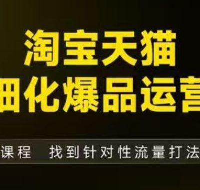 淘宝天猫精细化爆品运营（9月12-14杭州线下课），全方位拆解爆品打造逻辑【音频+字幕+文档】