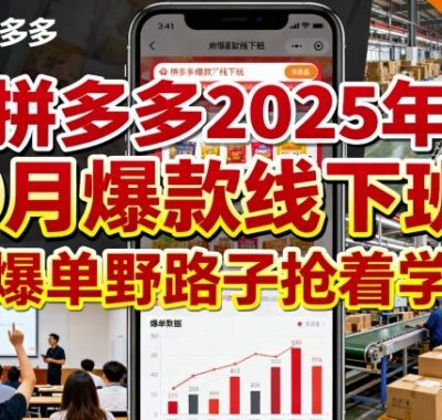 拼多多2025年9月爆款线下班，爆单野路子抢着学