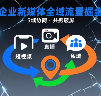 短视频全域商业模式，企业新媒体全域流量掘金，3域协同，共振破屏，短视频-直播-私域-地域
