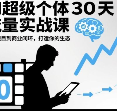 AI超级个体30天流量实战课，从小项目到商业闭环，打造你的生态