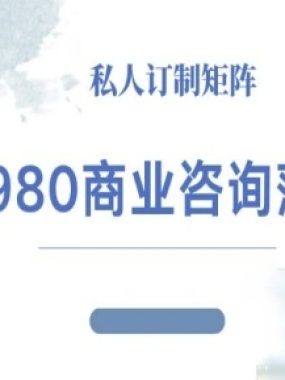 4980商业咨询师落地课程-ip运营高客单教程