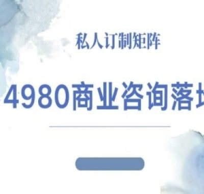 4980商业咨询师落地课程-ip运营高客单教程