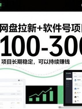网盘拉新+软件号项目，一天收益100-300，项目长期稳定，可以持续賺钱