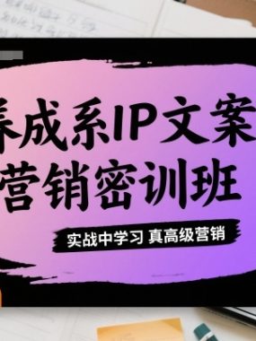 养成系IP文案营销密训班，实战中学习真高级营销