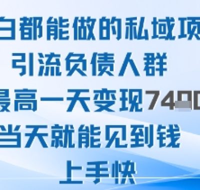 2025年小白都能做的私域项目引流负债人群最高一天变现1k+高变现难度低当天就能见到钱上手快