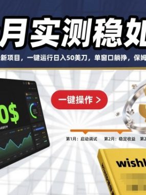 3个月实测稳如狗！wishlba最新项目，一键运行日入50美刀，单窗口躺挣，保姆级教程全给你【揭秘】