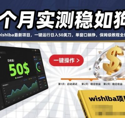 3个月实测稳如狗！wishlba最新项目，一键运行日入50美刀，单窗口躺挣，保姆级教程全给你【揭秘】