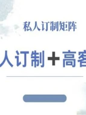 小红书自媒体咨询师IP教程，私人定制+高客单