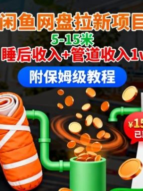 拼多多闲鱼网盘拉新项目，一单5-15米，睡后收入+管道收入1w+（附保姆级教程）