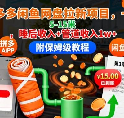 拼多多闲鱼网盘拉新项目，一单5-15米，睡后收入+管道收入1w+（附保姆级教程）