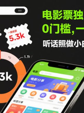 电影票独家玩法！0门槛，一周收获5.3k，听话照做小白也能落地【揭秘】