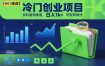 冷门创业项目，资料查询赛道，日入1k+，可矩阵操作