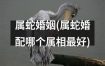 属蛇女心动爱语攻略