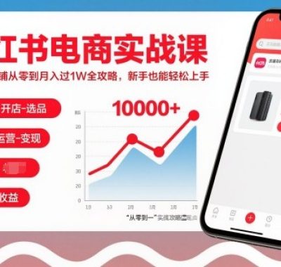 小红书电商实战课，小红书店铺从零到月入过1W全攻略，新手也能轻松上手