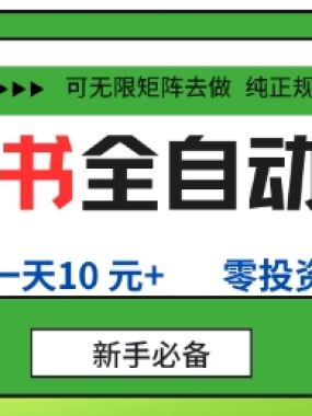 小红书全自动浏览项目，零投资，全程手机去跑，单账号一天10米+，可无限矩阵去做【揭秘】