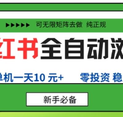 小红书全自动浏览项目，零投资，全程手机去跑，单账号一天10米+，可无限矩阵去做【揭秘】