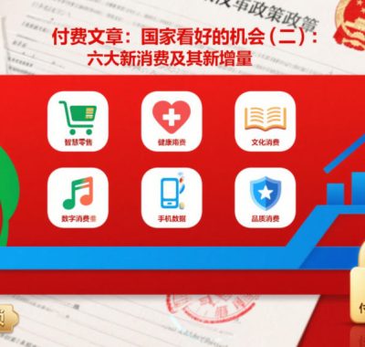 付费文章：国家看好的机会(二)：六大新消费及其新增量