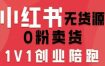 小红书无货源0粉电商课，开店准备、选品策略、笔记撰写、视频剪辑、数据分析、账号打造、资料文档（更新）