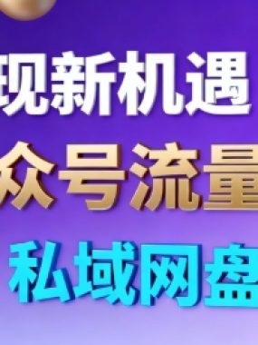 公众号流量主+私域网盘拉新，多方式变现，简单易上手，当天就有收益