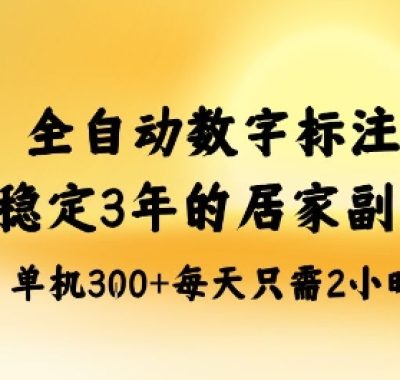 全自动数字标注，稳定3年的蓝海项目，居家也能矩阵开干的副业，单机日入3张+【揭秘】