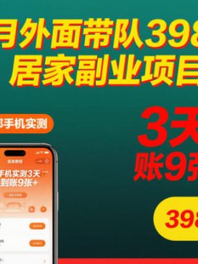 12月外面带队3980的居家副业项目，一部手机实测3天到账9张+，首发教程【揭秘】
