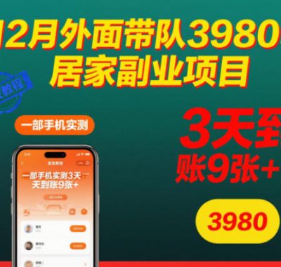 12月外面带队3980的居家副业项目，一部手机实测3天到账9张+，首发教程【揭秘】