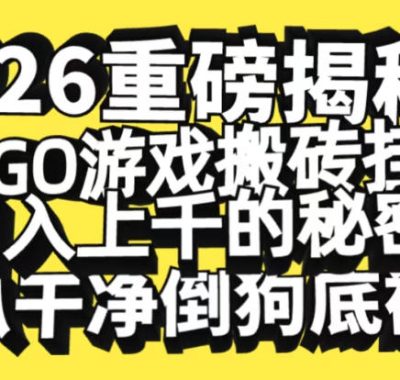 2026开年重磅解密，CSGO游戏搬砖挂G日入1k+的秘密，把倒狗的底裤扒干【揭秘】