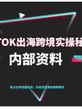 TikTok跨境电商0-1搭建运营,TK出海跨境实操秘籍(10月更新)