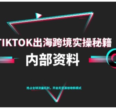 TikTok跨境电商0-1搭建运营，TK出海跨境实操秘籍（10月更新）