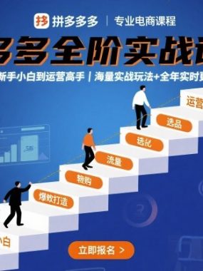 拼多多全阶实战课程，从新手小白到运营高手，海量实战玩法+全年实时更新【2025年10月更新】