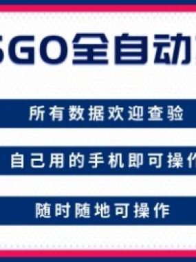 CSGO全自动搬砖，年底钱回家好项目，当天可拿到结果，新手小白轻松月入1W+【揭秘】