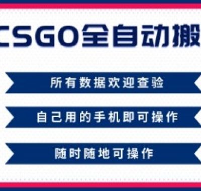 CSGO全自动搬砖，年底钱回家好项目，当天可拿到结果，新手小白轻松月入1W+【揭秘】