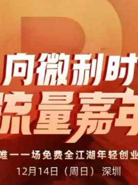 2025ip嘉年华万人12月14深圳线下课，走向微利时代，IP流量嘉年华，实操性极强的商业干货课