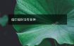 偏印偏财没有食神