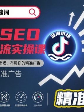 抖音SEO精准引流实操课，抓住抖音搜索蓝海市场，布局你的精准广告