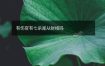 有伤官有七杀是从财格吗