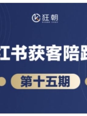 抖音小红书视频号短视频带货与直播变现(11-18期),打造爆款内容，实现高效变现（更新）