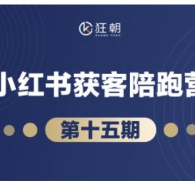 抖音小红书视频号短视频带货与直播变现(11-18期),打造爆款内容，实现高效变现（更新）