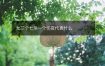 女三个七杀一个伤官代表什么