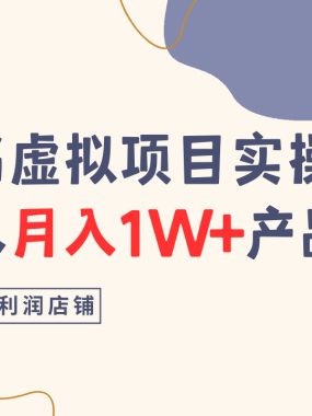 小红书虚拟项目实操指南，普通人月入1W+产品推荐，直接抄