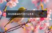 四柱暗藏偏财代表什么意思
