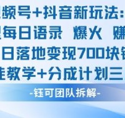 视频号加抖音新玩法：爆火新型每日语录，收徒教学加分成计划，三种变现玩法，当日变现7张