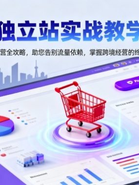 独立站实战教学，跨境经营全攻略，助您告别流量依赖，掌握跨境经营的终极奥