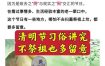 清明节迁坟讲究忌讳汇总！