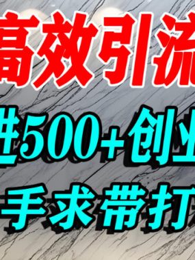怎么打创业粉？快手求带视角精准引流创业粉，宝妈、学生群体日进500+精准流量